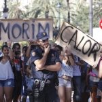 Calor parabellum