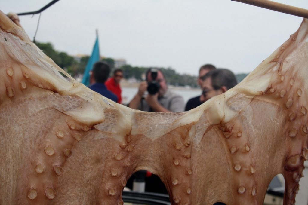 img_3515-1280x853-2
