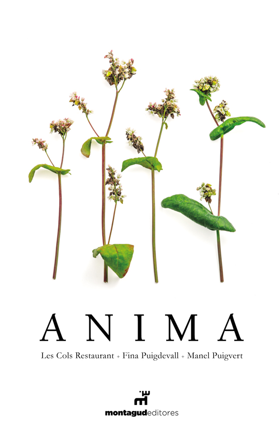 Publicado por Montagud Editores. 6 de noviembre de 2017. 50,90 euros.