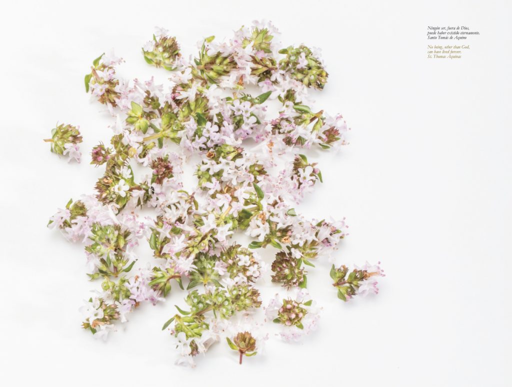 Imagen del libro cedida por Montagud editores. 