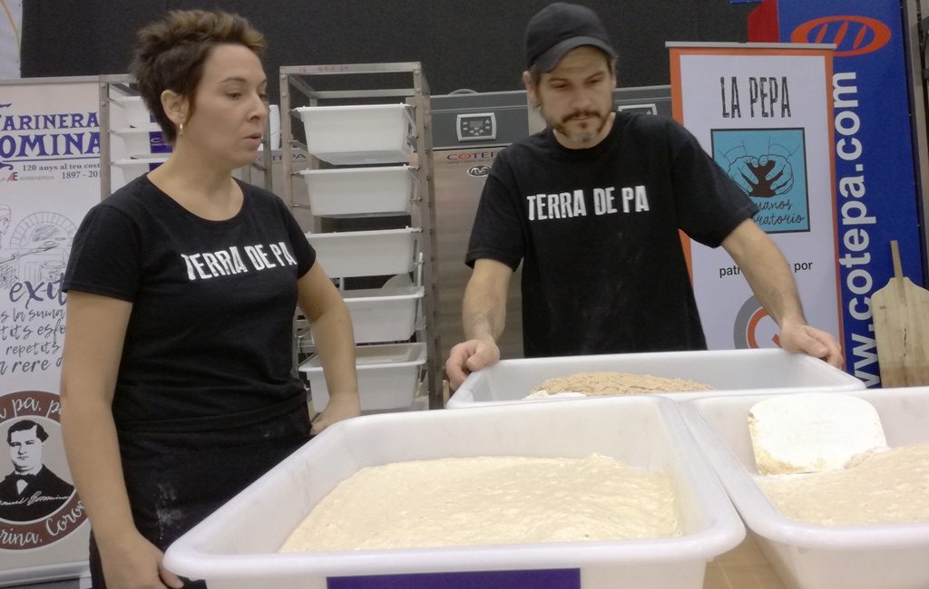 Los chicos de Terra de pa, entrando en acción. 
