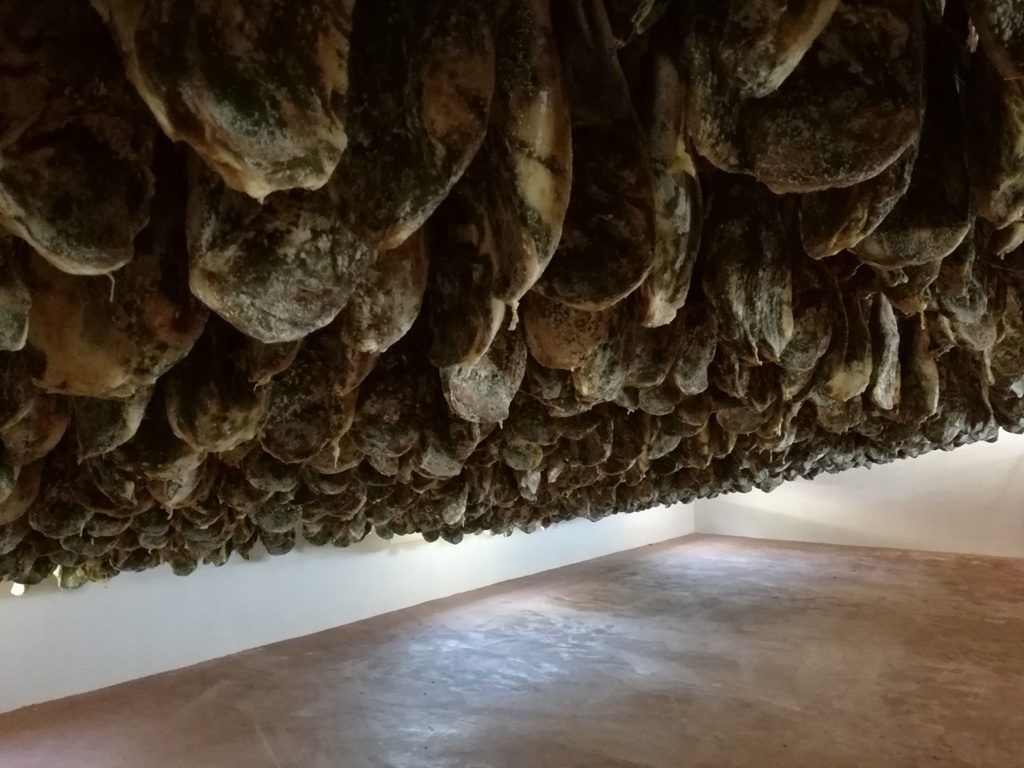Un cielo de jamón.