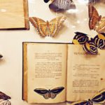 La biblioteca pantagruélica: devorar libros, leer platos