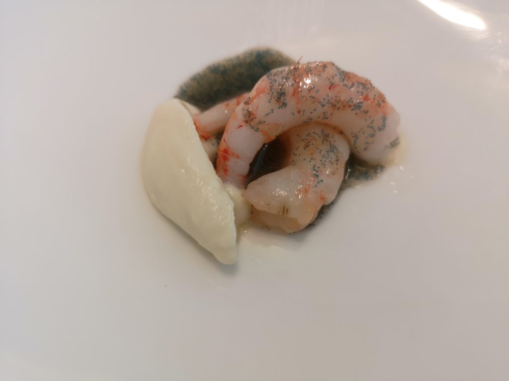 8. Quisquilla.